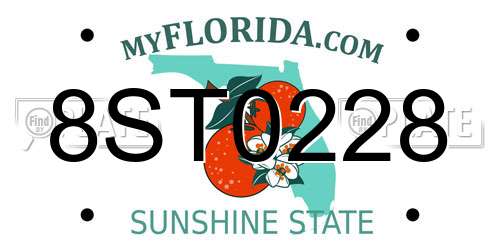 8ST0228 Florida License Plate
