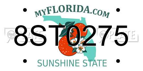8ST0275 Florida License Plate