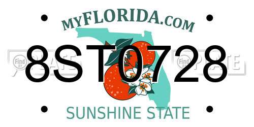 8ST0728 Florida License Plate