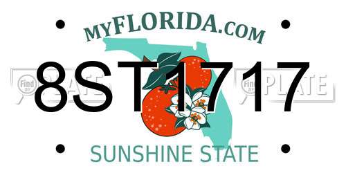 8ST1717 Florida License Plate