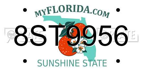 8ST9956 Florida License Plate