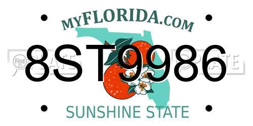 8ST9986 Florida License Plate