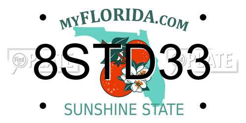 8STD33 Florida License Plate