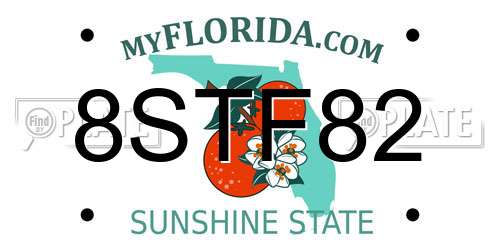 8STF82 Florida License Plate