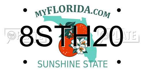 8STH20 Florida License Plate