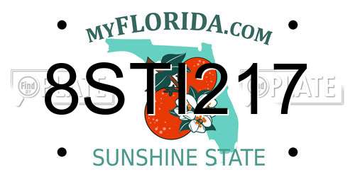 8STI217 Florida License Plate