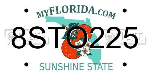 8STO225 Florida License Plate