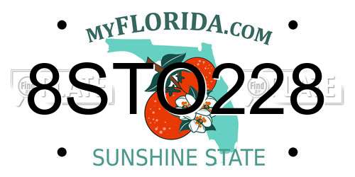 8STO228 Florida License Plate