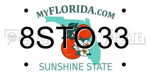 8STO33 Florida License Plate