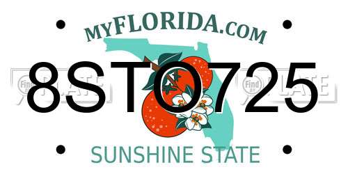 8STO725 Florida License Plate