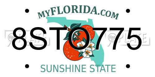 8STO775 Florida License Plate