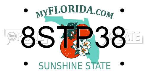 8STP38 Florida License Plate