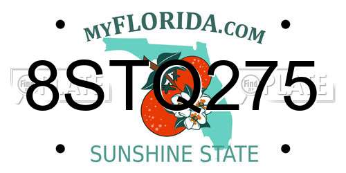 8STQ275 Florida License Plate