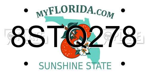 8STQ278 Florida License Plate
