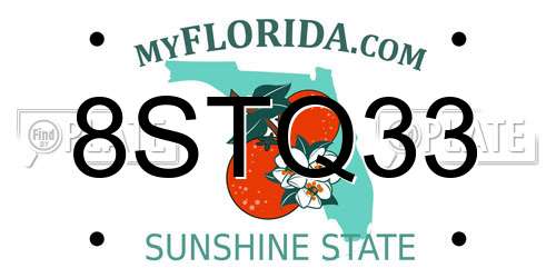 8STQ33 Florida License Plate