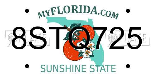 8STQ725 Florida License Plate