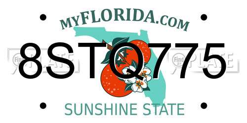 8STQ775 Florida License Plate