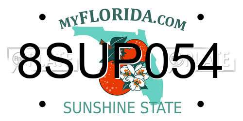 8SUP054 Florida License Plate