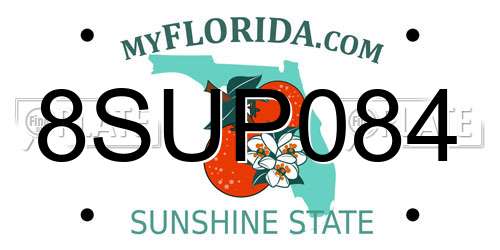8SUP084 Florida License Plate