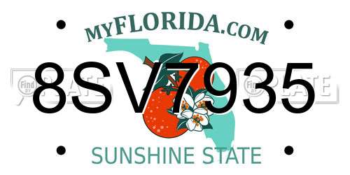 8SV7935 Florida License Plate