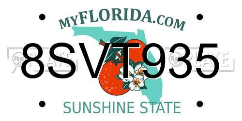 8SVT935 Florida License Plate