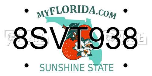 8SVT938 Florida License Plate