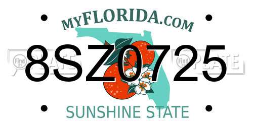 8SZ0725 Florida License Plate