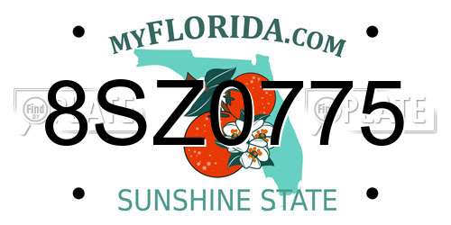 8SZ0775 Florida License Plate