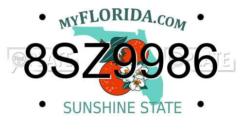 8SZ9986 Florida License Plate