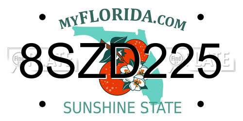 8SZD225 Florida License Plate