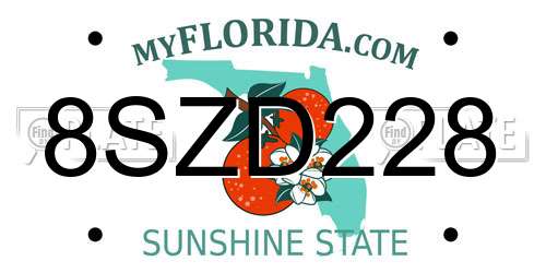 8SZD228 Florida License Plate