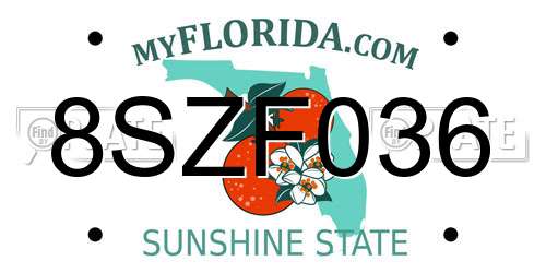 8SZF036 Florida License Plate