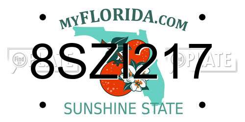 8SZI217 Florida License Plate