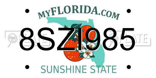 8SZI985 Florida License Plate