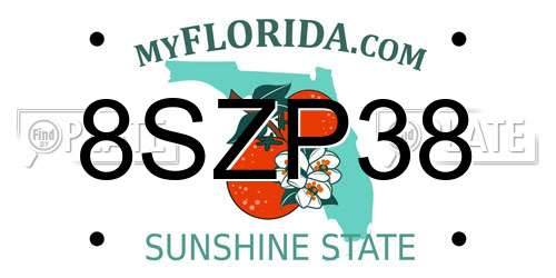 8SZP38 Florida License Plate