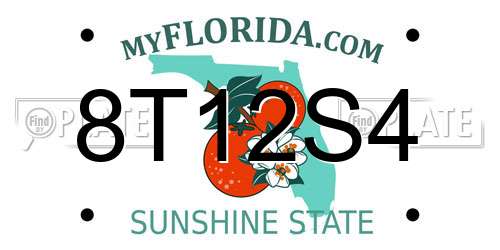 8T12S4 Florida License Plate