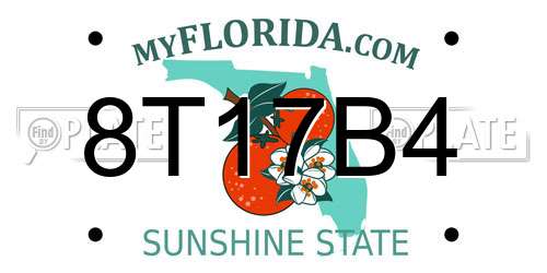 8T17B4 Florida License Plate