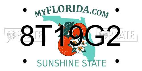 8T19G2 Florida License Plate