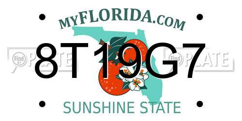 8T19G7 Florida License Plate