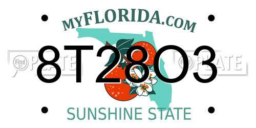 8T28O3 Florida License Plate