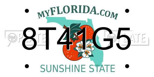 8T41G5 Florida License Plate