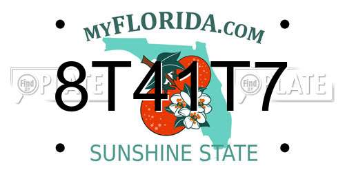 8T41T7 Florida License Plate