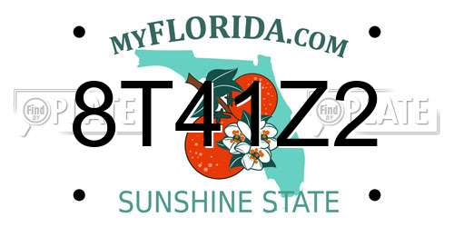 8T41Z2 Florida License Plate