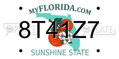 8T41Z7 Florida License Plate
