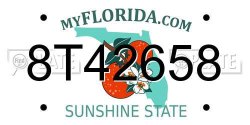 8T42658 Florida License Plate