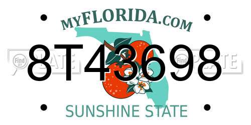 8T43698 Florida License Plate