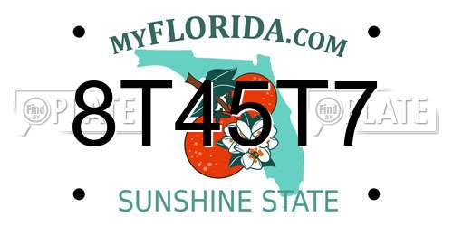 8T45T7 Florida License Plate