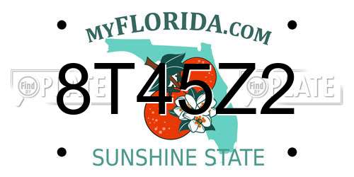 8T45Z2 Florida License Plate