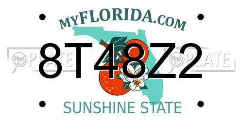 8T48Z2 Florida License Plate