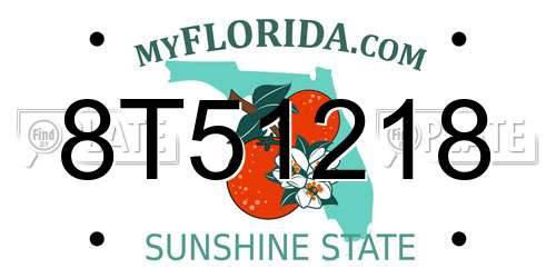 8T51218 Florida License Plate
